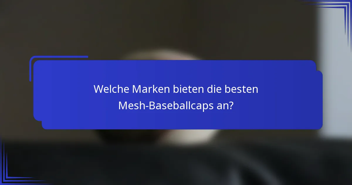 Welche Marken bieten die besten Mesh-Baseballcaps an?